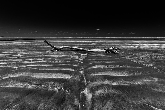 Between the Groynes