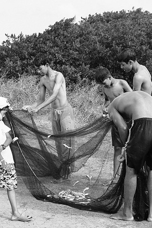 Young Fishers - 14-3531