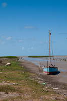 Beached - 3276