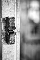 IMG_9641-Edit