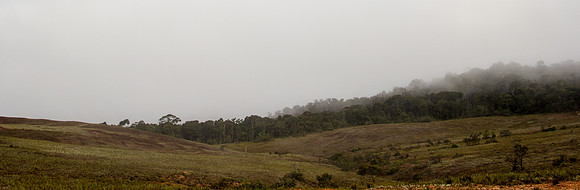 IMG_1947