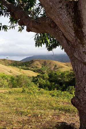 IMG_2094
