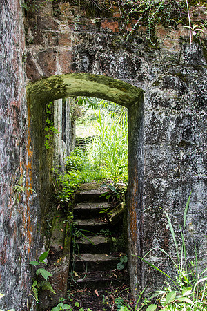 Steps and Arch