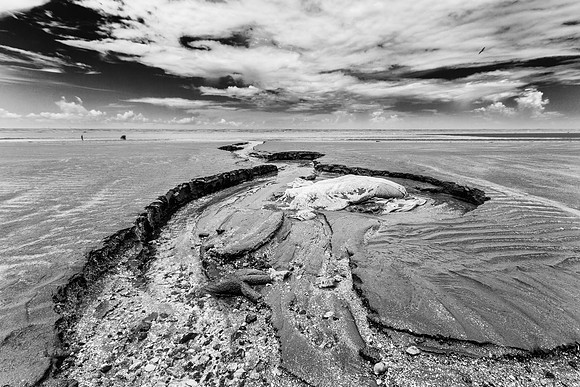 Out - 13_9545