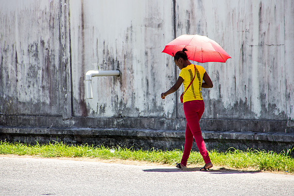 Umbrella or Parasol?