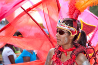 Republic Day 2010