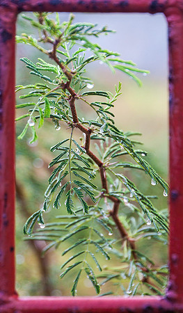 Framed - 10-6581