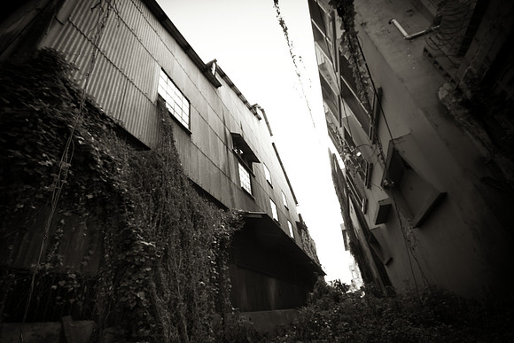 Alley Falls Sepia - 5712