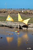 Jhandi Flags - 3280
