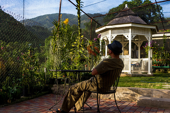 A View