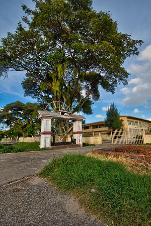 Camp Road Koker - 7836