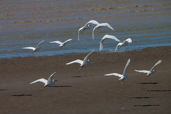 Flight -3777
