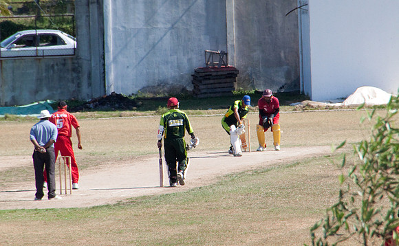 Cricket-3846