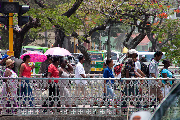 Midday Rush - 8653
