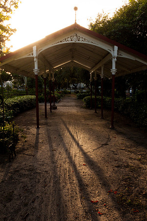 Long Shadows
