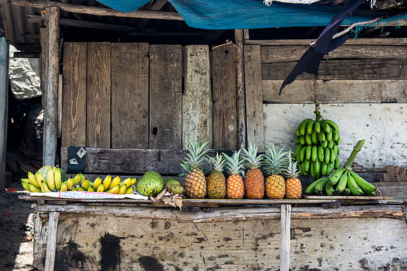 Fruits for the drive