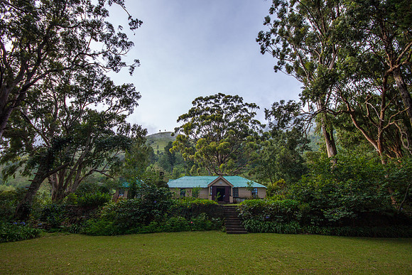 Whitfield Hall 0633