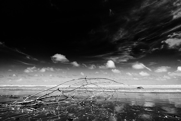 Ebb Tide - 15-6643