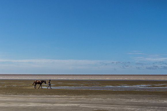 A Man and his Horse
