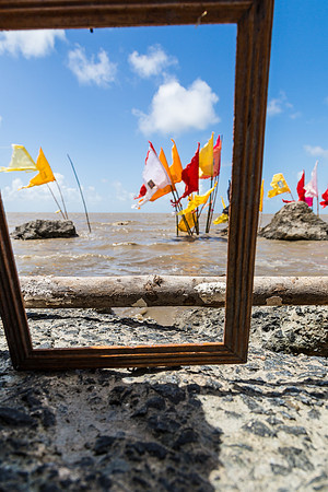 The Wood in the Frame - 14-2333