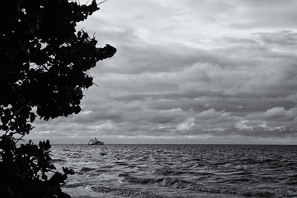 Out to Sea